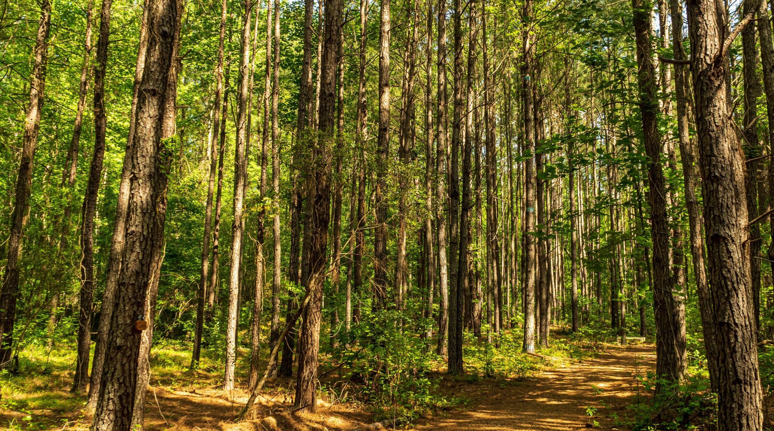 La rando des indépendantes